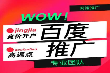 百度竞价推广的成功案例：企业如何快速提升品牌知名度